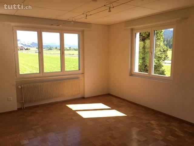 Renovierte & sonnige 3.5 Zimmer Wohnung