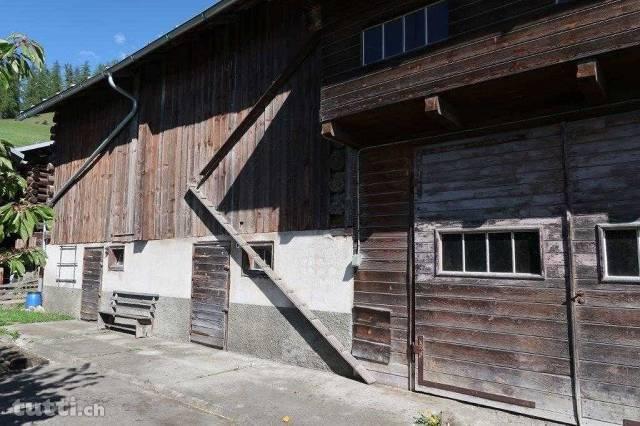 Haushälfte mit grossem Stall in Duvin in der