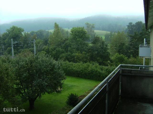 4.5 Zimmerwohnung mit schöner Aussicht