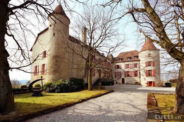 Authentique château du 13ème siècle avec ses