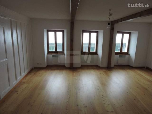 APPARTEMENT CHARMANT AVEC PRIERRE OLLAIRE