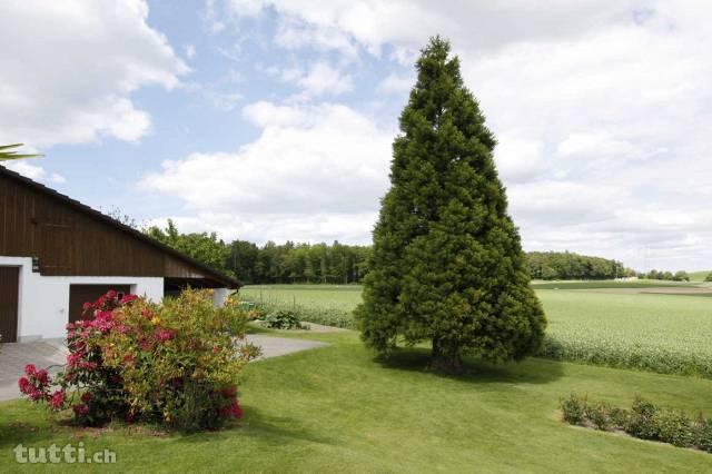 Wohnen in 2 Fam.-Bauernhaus inmitten der Land