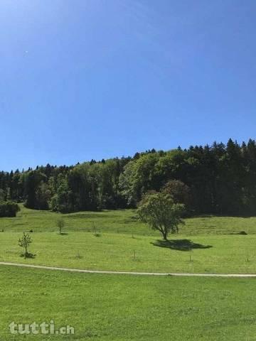 Natur Aussicht in dieser grosszügigen 2.5 Zim