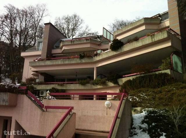 Magnifique appartement dans les combles