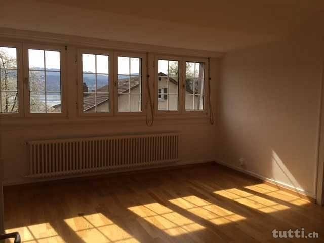 Neu renovierte, gemütliche 4 Zimmer Dachwohnu