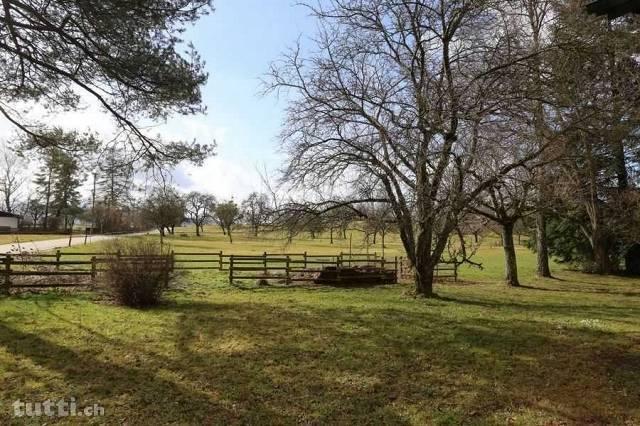 Maison en lisière agricole pour amoureux de l