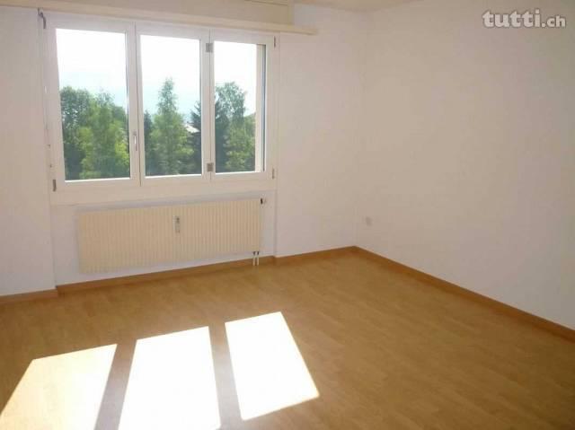 Neu renovierte 3½-Zimmer-Wohnung