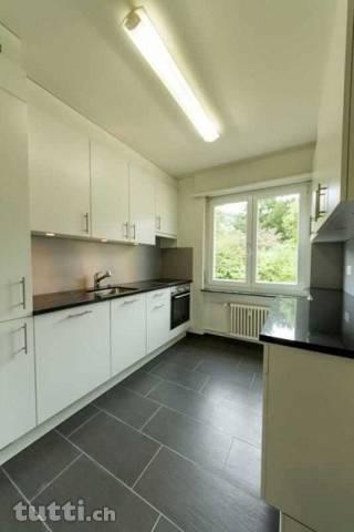 neu renovierte 3.5-Zimmerwohnung