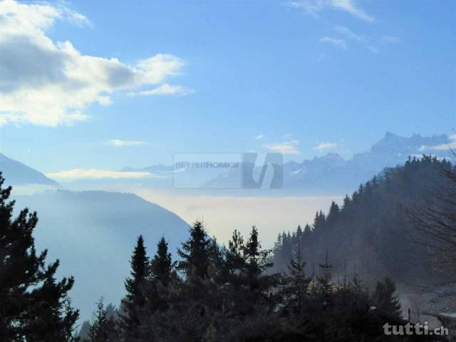 MAGNIFIQUE VUE - COUP DE COEUR ASSURÉ