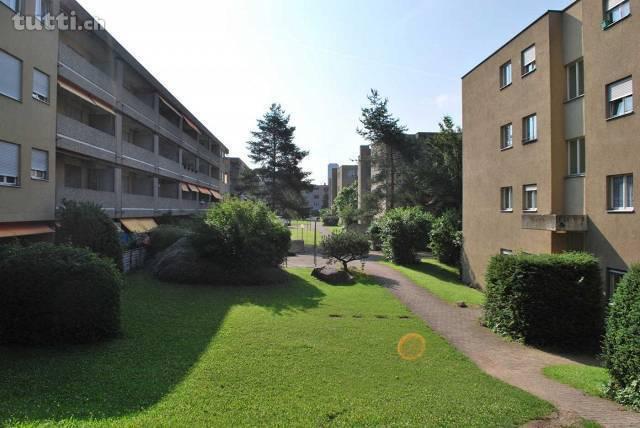 2.5-Zimmerwohnung in -Altstetten