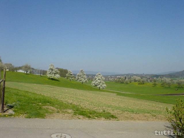 4.5 Zimmer Reiheneinfamilienhaus an wundersch