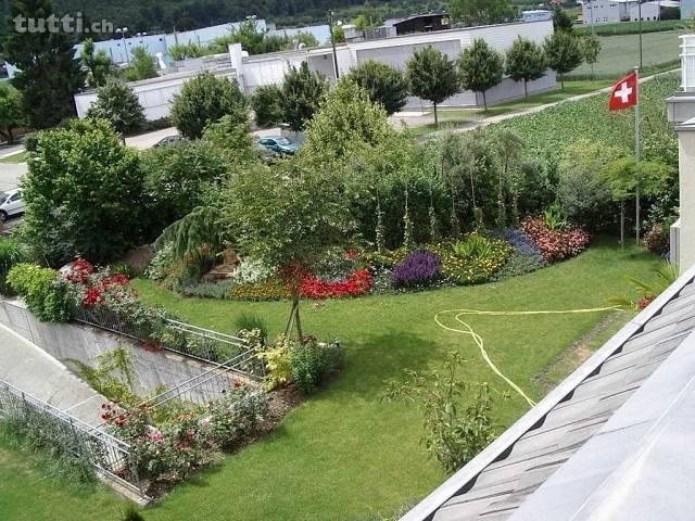 Blick ins Grüne und nahe Tram und Einkauf