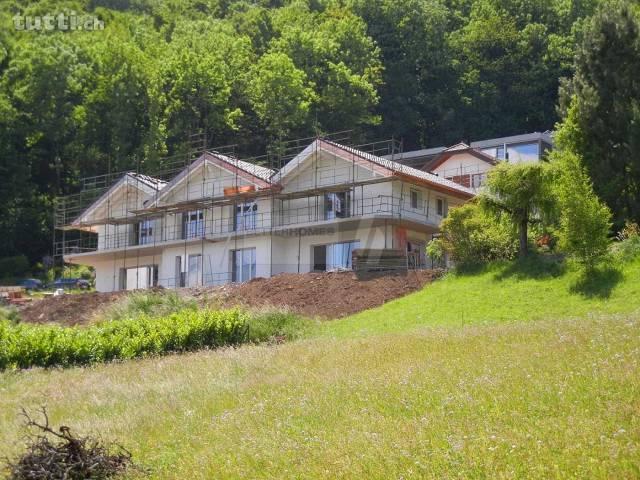 BELLE VUE SUR LE CHABLAIS, IDÉALE POUR FAMILL