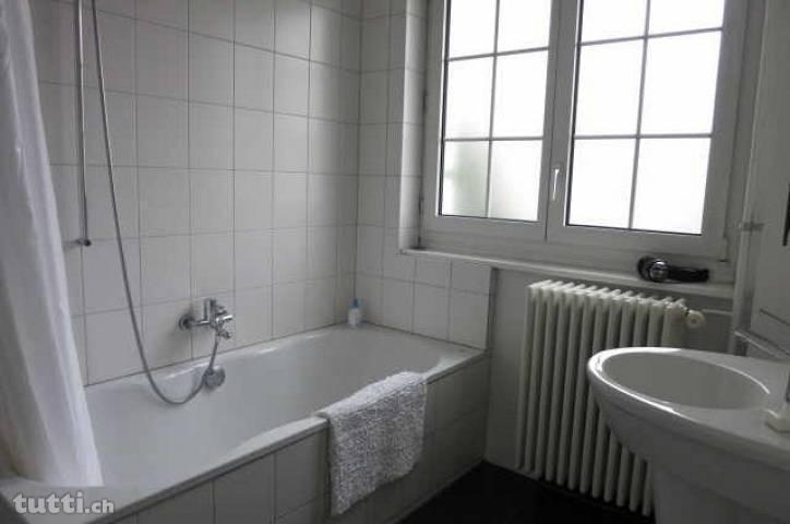 Lovely 3 room furnished flat off Schützenmatt