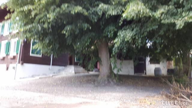 Bauernhaus renoviert ruhige Lage