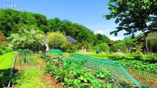 Wochenendhaus «im Paradies»