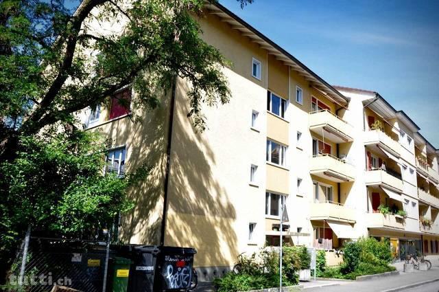 gemütliche Wohnung in Stadtnähe