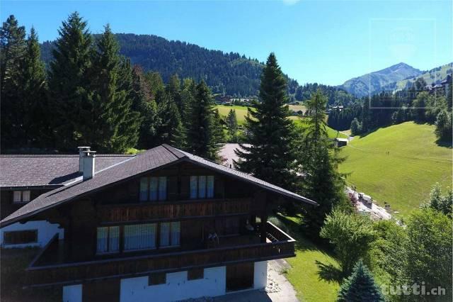 Chalet: Marvelous view, sunny and close to Pr