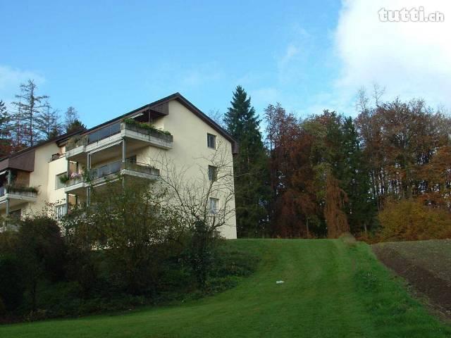 Traumhafte Erdgeschosswohnung mit Blick ins G