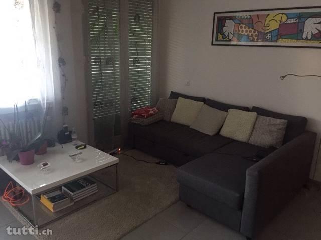 Fully furnished Apartment in  downtown