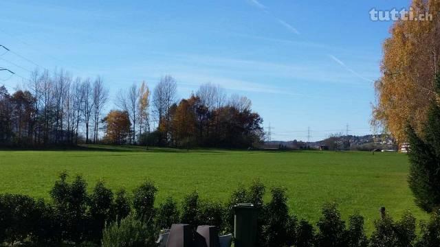 Wunderschöne Gartenwohnung