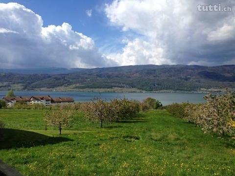 Idyllisches Wohnen mit Seeblick auf 150m2