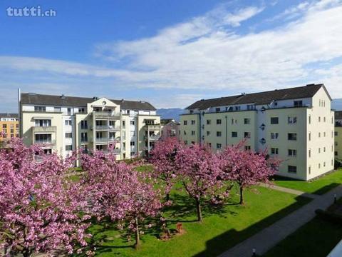 Tolle, moderne Wohnung mit Gartensitzplatz