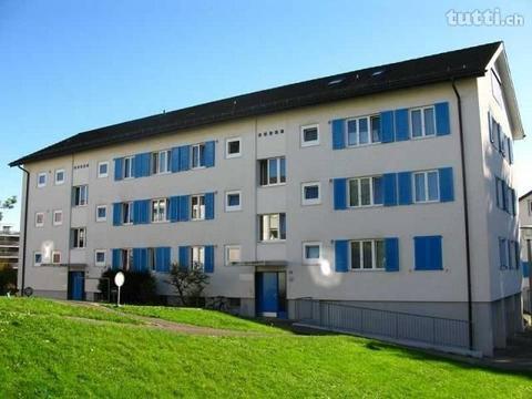 Gemütliche Dachwohnung in Dietlikon