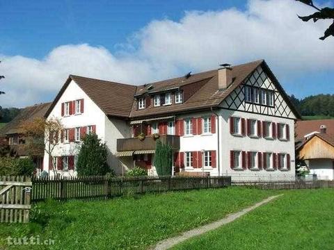 Moderne Wohnung in schönem Riegelhaus, an ruh