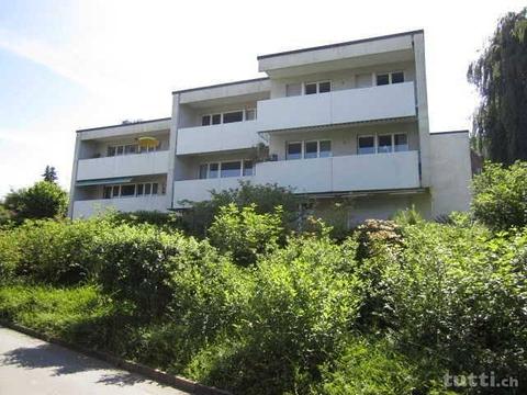 Garten-Wohnung auch mit Abendsonne