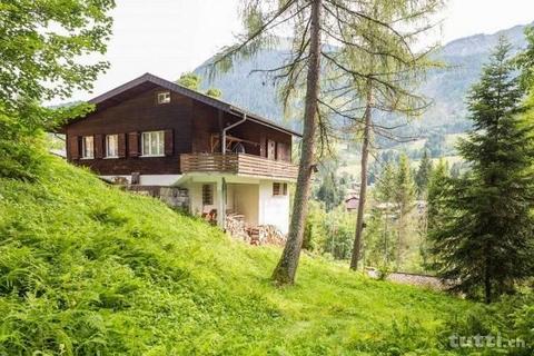 Natur-Chalet am Ruhepol der Zeit