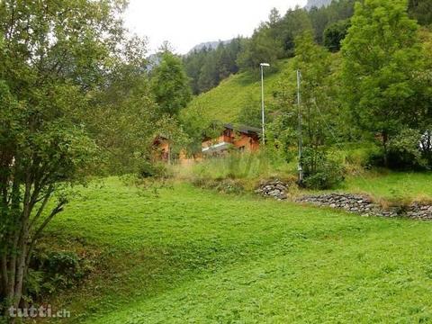 NATUR ZUM GREIFEN NAHE