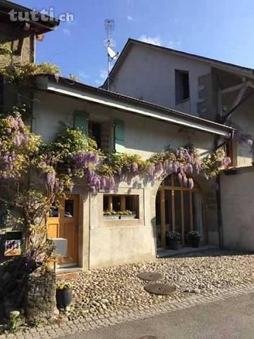 Charming family house in Genève - Cartigny