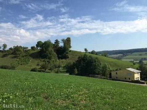 Charmantes, alleinstehendes Einfamilienhaus a