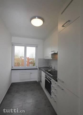 Renovierte 3 Zimmerwohnung