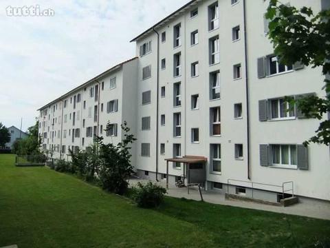 Grosszügige Wohnung im Steingutquartier