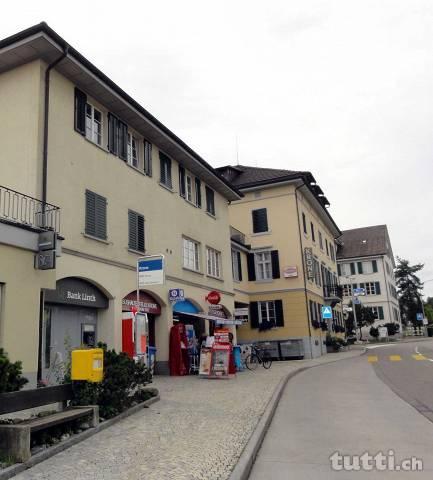 grosse Wohnung an zentraler Lage mit Sicht in