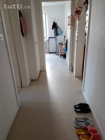 Schöne Wohnung im Zentrum von Kleindöttingen