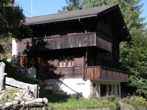 Wohnung + Studio in einem Dorf Chalet in Kipp