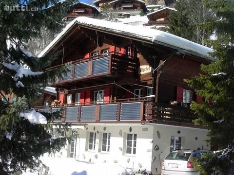 5-6 Bett Wohnung in der Jungfrau Region