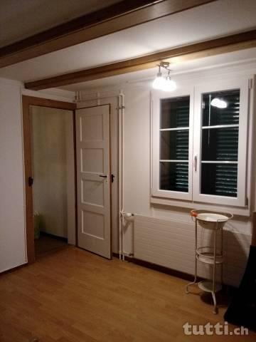 Altbau Wohnung mit viel Grün