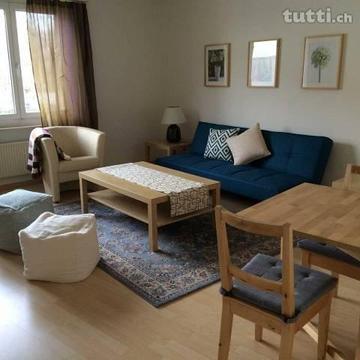 2 room, newly furnished apartment - St Johann
