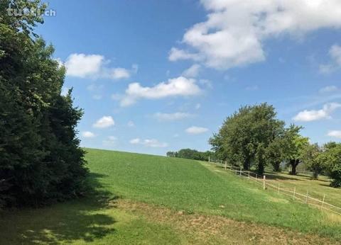 Suchen Sie nachhaltiges Wohnen mit erstklassi