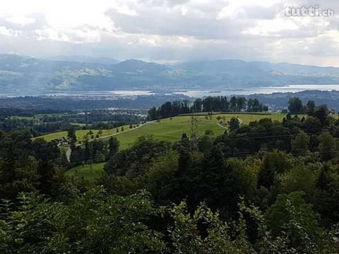 Ruhige Lage am Bachtel, tolle Aussicht auf Be