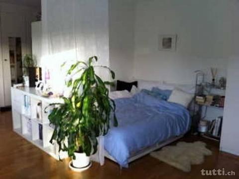 Fully furnished 1.5 room apartment near EVERY