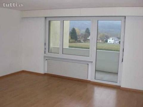 Helle 2 ½-Zimmer-Wohnung Eingangs Sulgen