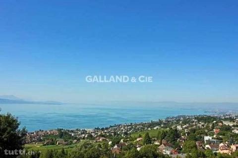 Sous le soleil ardent de Lavaux