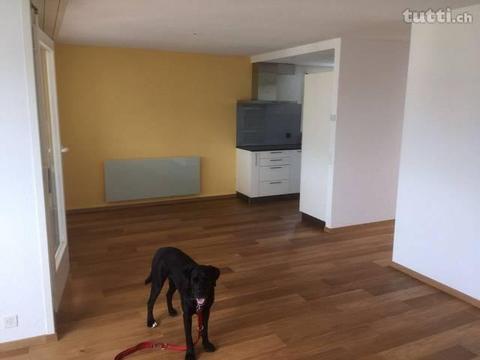 Kleine Dachwohnung in Suhr AG