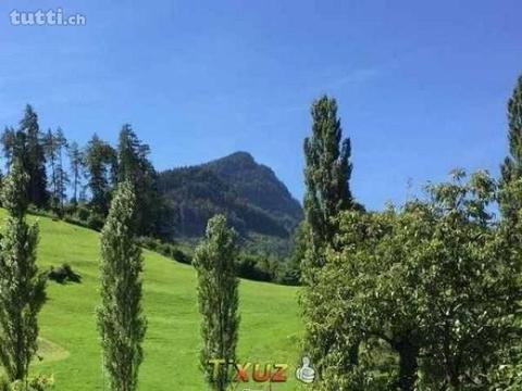 Mehrfamilienhaus nähe  zu verkaufen mit e