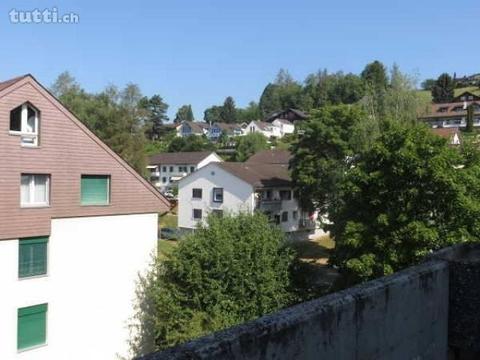 Heimelige Dachwohnung mit Galeriezimmer